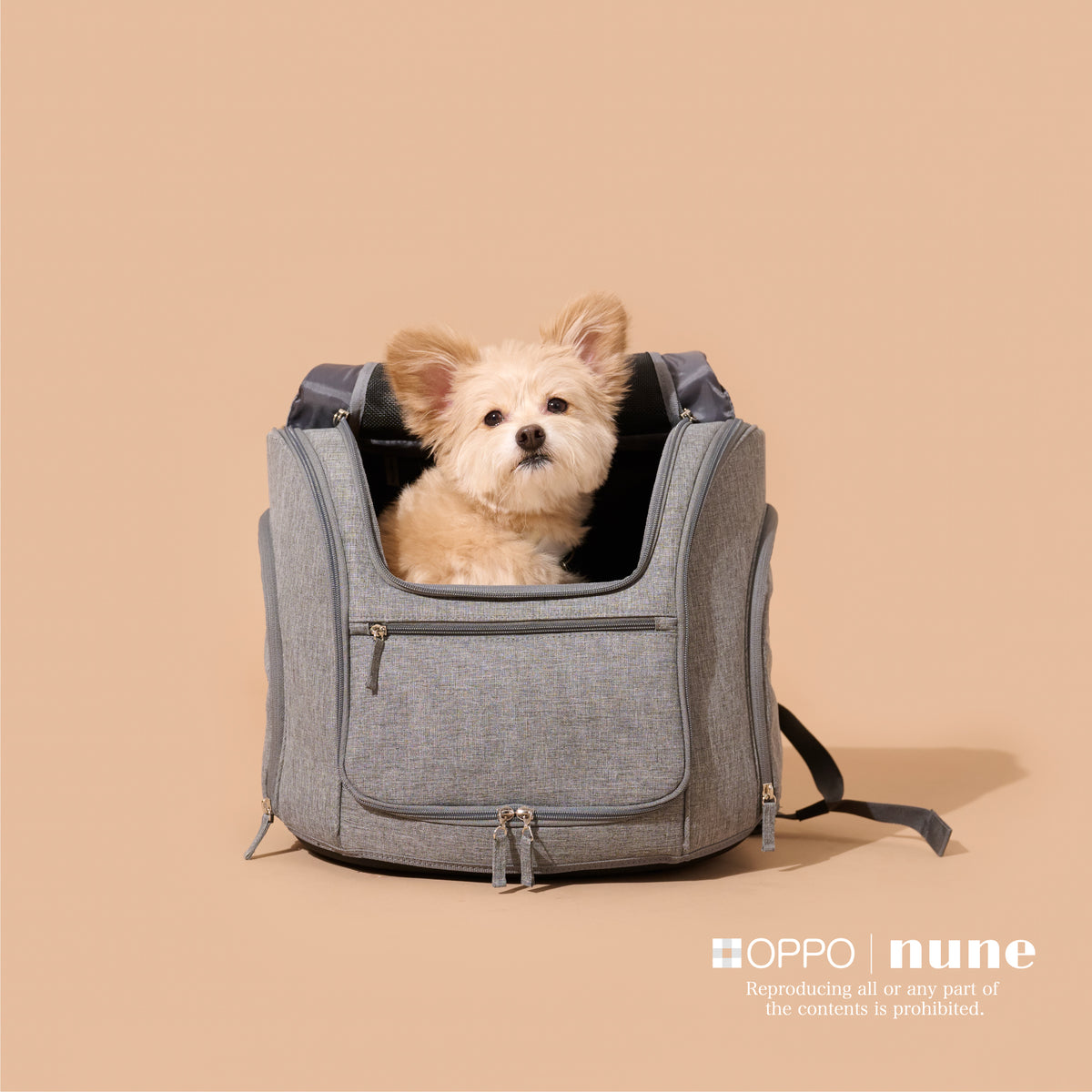OPPO Pet Carrier muna BC– nune.jp