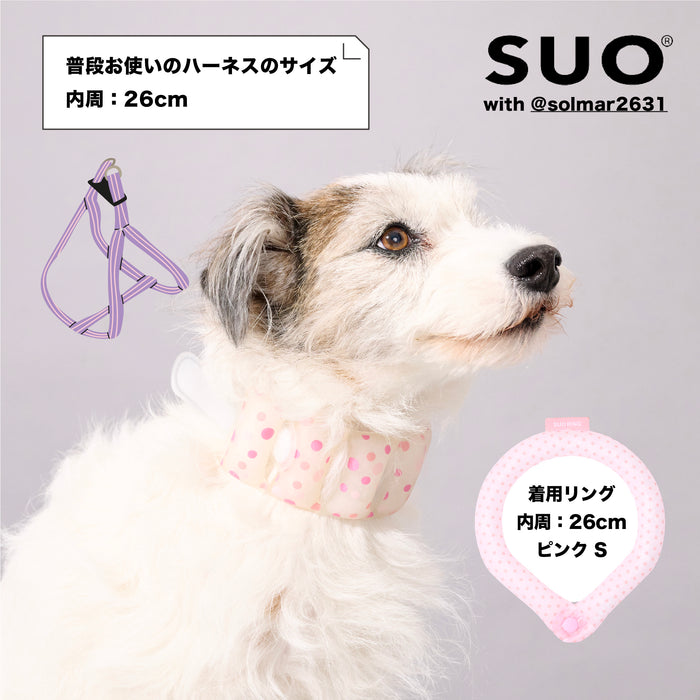 SUO クールリング ボタン付き 18℃