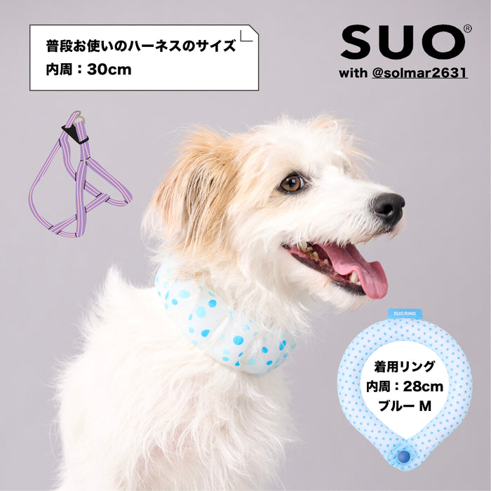 SUO クールリング ボタン付き 18℃